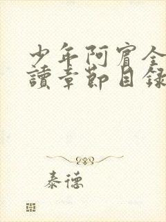 少年阿宾全文阅读章节目录封面