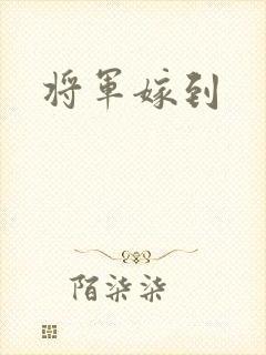 将军嫁到
