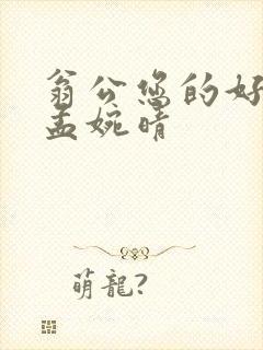 翁公您的好长呀孟婉晴封面