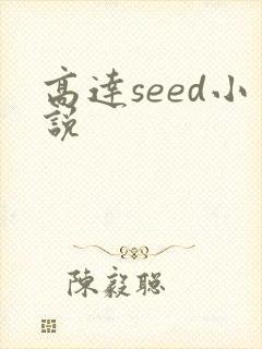 高达seed小说