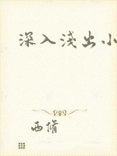 深入浅出小说