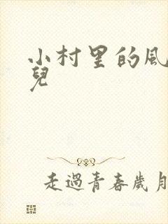 小村里的风流事儿封面