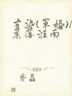 有染(军婚)/叶落淮南封面