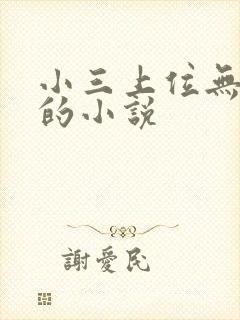 小三上位无三观的小说封面