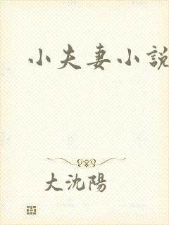 小夫妻小说封面