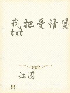 我把爱情煲成汤txt