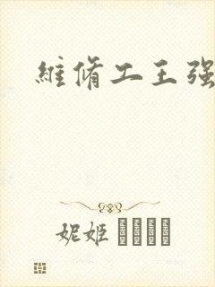维修工王强张婷封面