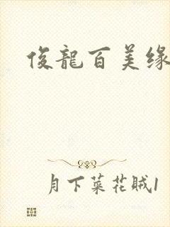 俊龙百美缘小说封面