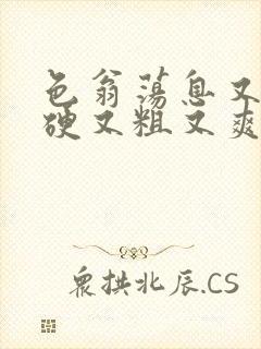 色翁荡息又大又硬又粗又爽