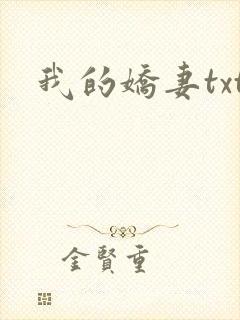 我的娇妻txt封面