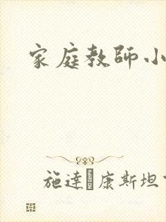 家庭教师小说封面