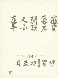 在人间采薇陆三平小说免费阅读