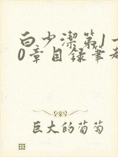 白少洁第1一40章目录笔趣阁封面