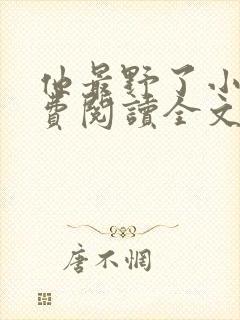 他最野了小说免费阅读全文封面