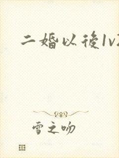 二婚以后1v2封面