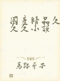 国产精品久久久久久小说