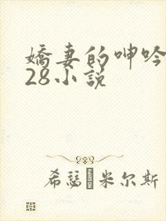 娇妻的呻吟1—28小说封面