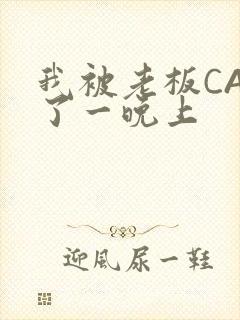 我被老板CAO了一晚上