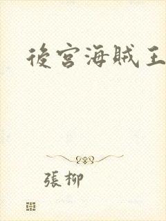 后宫海贼王