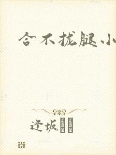 合不拢腿小说