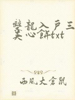 双龙入户三人行夹心饼txt