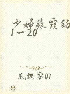 少妇苏霞的沉沦1一20