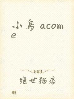 小鸟 acome封面