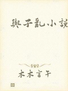 与子乱小说