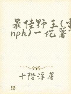 最佳野王(电竞nph)一坨薯饼