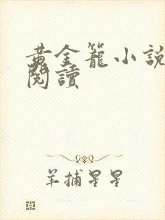 黄金笼小说免费阅读封面