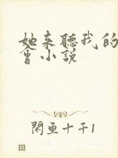 她来听我的演唱会小说