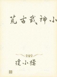 荒古武神小说