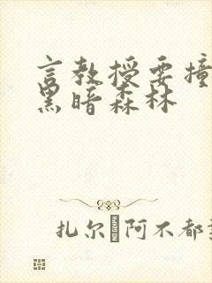 言教授要撞坏了黑暗森林封面