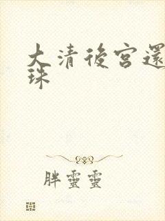 大清后宫还君明珠