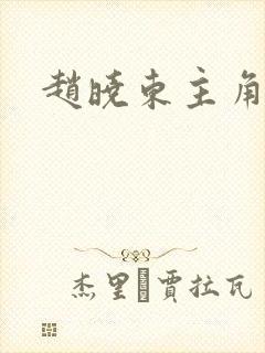 赵晓东主角小说封面