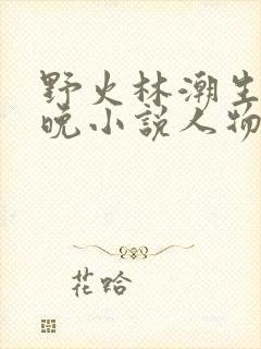野火林潮生林晚晚小说人物野火