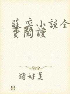 苏奕小说全文免费阅读