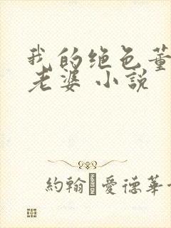 我的绝色董事长老婆 小说