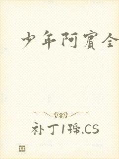 少年阿宾全集封面