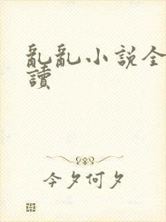 乱乱小说全文阅读