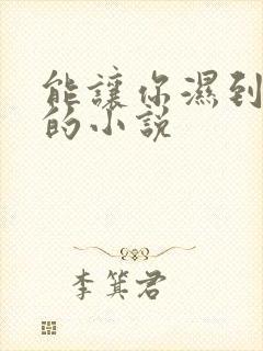 能让你湿到不行的小说