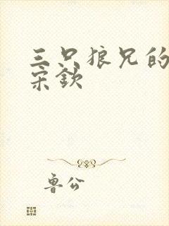 三只狼兄的宠妻宋钦