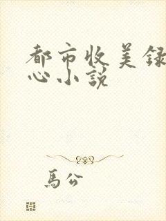 都市收美录宁素心小说