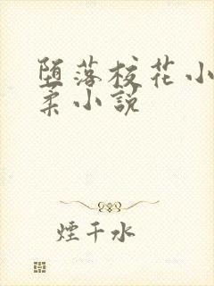 堕落校花小雪小柔小说封面