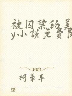 被囚禁的美人by小说免费阅读