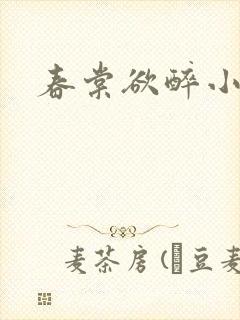 春棠欲醉小说封面