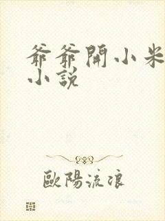 爷爷开小米的包小说封面