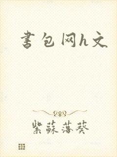 书包网h文