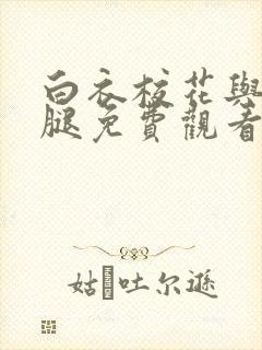 白衣校花与大长腿免费观看电视剧