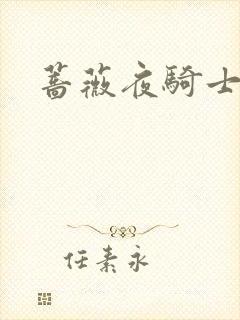 蔷薇夜骑士